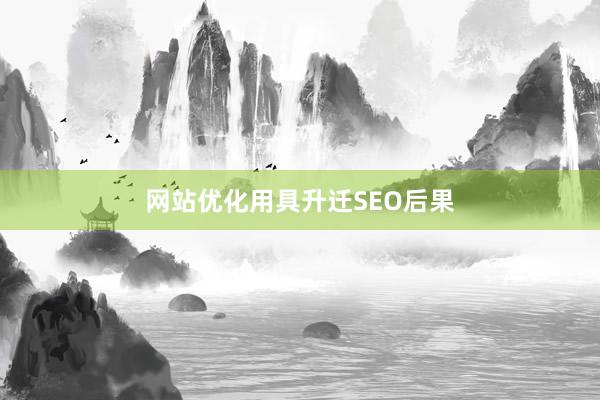 网站优化用具升迁SEO后果